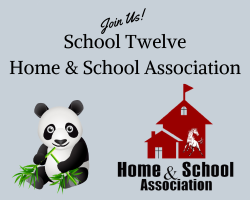  School 12 HSA Banner
